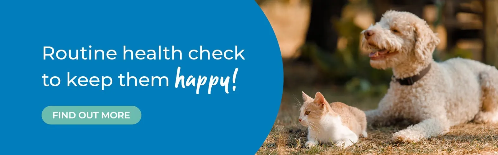 Home | Firhouse vets | Lucan vets | Kildare vets | Dublin vets | MyVet