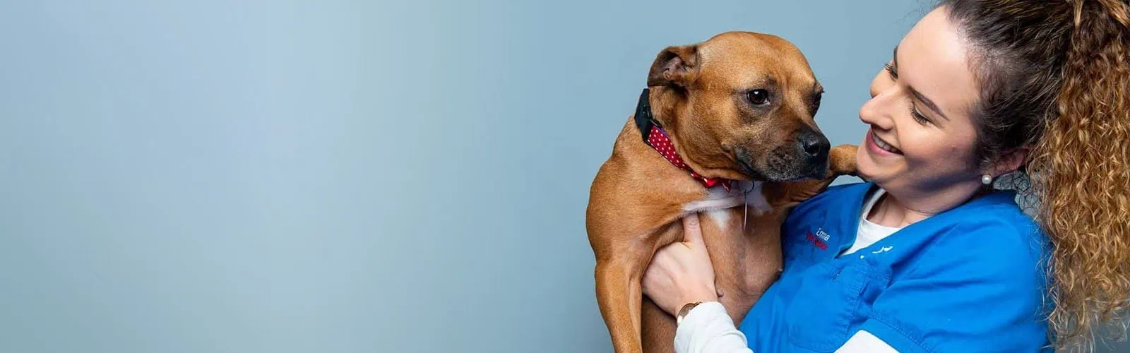 Home | Firhouse vets | Lucan vets | Kildare vets | Dublin vets | MyVet