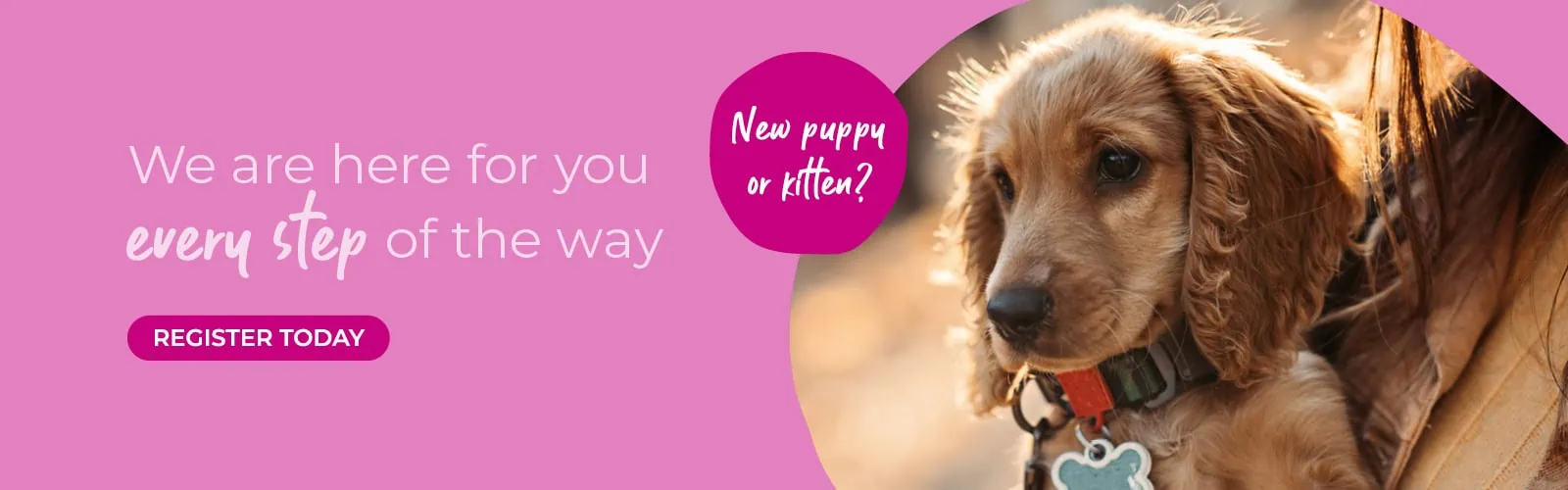 Home | Firhouse vets | Lucan vets | Kildare vets | Dublin vets | MyVet