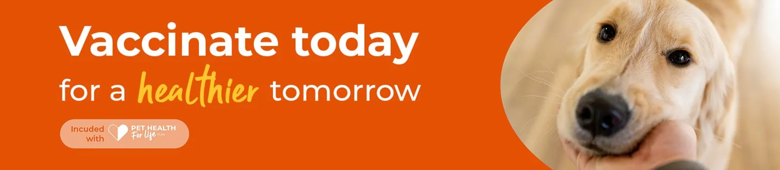 Canine Herpes Vaccination
